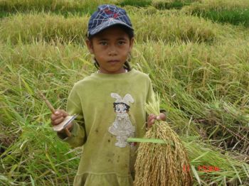 Food for the future Food for the future